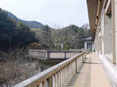 -浙江宾馆·花园餐厅·自助餐厅·茶吧
