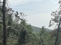 -青龙山国家森林公园