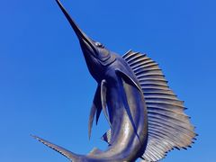 -海合安天津极地海洋公园