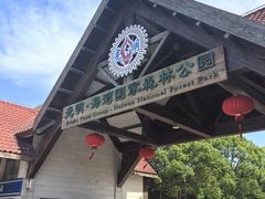 -上海海湾国家森林公园