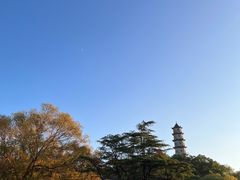 -江心屿景区