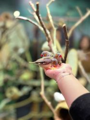 -Zoolung Zoolung动物主题公园(海信广场店)