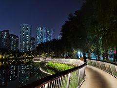 -四海公园(南山区)