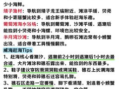 -幸福门
