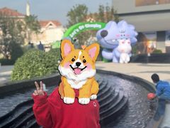 -斯普瑞斯奥特莱斯