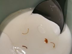 -洞庭家宴·头牌甲鱼(广渠门店)