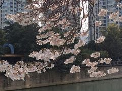 -成都市活水公园