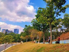 -白石龙音乐公园