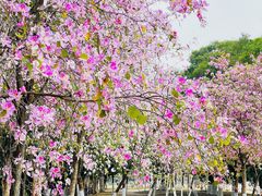 -广东科学中心