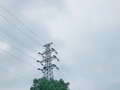 -塘栖枇杷特色园区