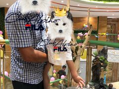 百花齐放生煎包-小元国大酒店(环城东路店)