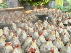 -花楸树下(观水路店)