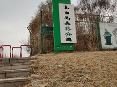 -长白岛森林公园