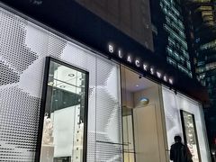 -BLACKSWAN黑天鹅(环球店)