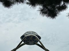 -莫子山公园