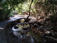 -东莞市大岭山森林公园