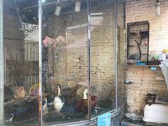 门面-龙桥私厨·姜花菊花过桥鱼·顺德菜(容桂店)