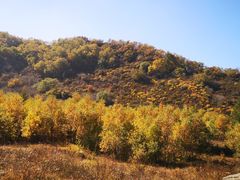 -白草畔自然风景区