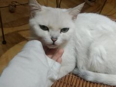 -万小咖.猫咖(中山路天虹店)