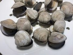 酸辣蕨根粉-优食坊·蒸汽海鲜(康盛路店)