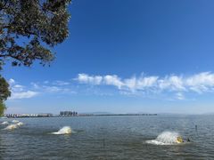 -滇池海埂公园