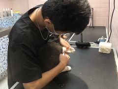 -FAELING PETS美天灵宠物(富力广场店)