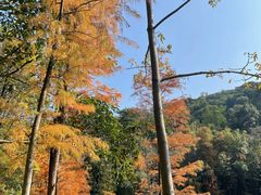 -广州市白云山风景名胜区