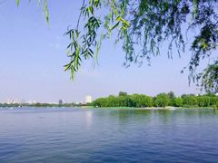 -济南大明湖景区