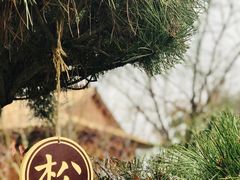 -诗经里