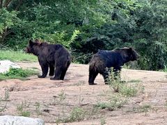 -北京野生动物园