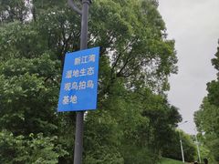 -新江湾城公园