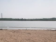 -东营·森林乐园