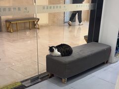 -派特宠物医院(圆融广场店)