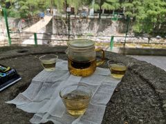 -沣峪森林公园龙潭戏水景区
