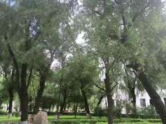 -黑龙江中医药大学