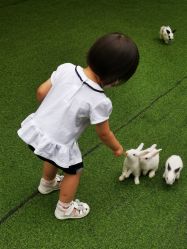 -萌宠亲子动物乐园(槐房万达店)