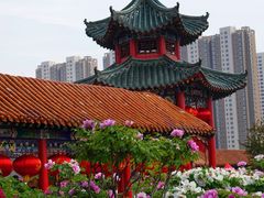 -曹州百花园