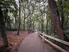 -惠山国家森林公园