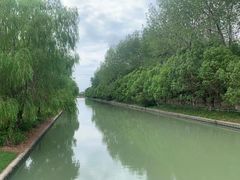 -九科绿洲