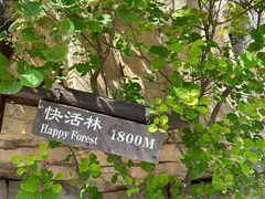 -北京西山国家森林公园