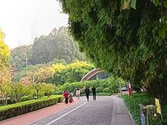 -龙头寺公园