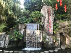 -广州市流溪河国家森林公园