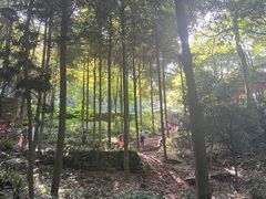 -青城山