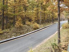 -苏木山森林公园