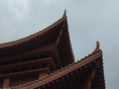 -深圳仙湖植物园