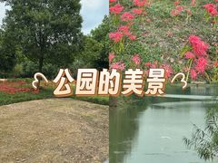 -长广溪湿地公园