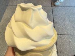 -麦当劳(四平路店)