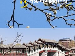 -西海子公园