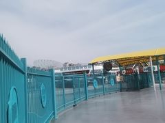 -海合安武汉极地海洋公园