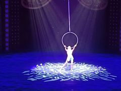 -珠海横琴长隆《卡卡虎奇遇记》